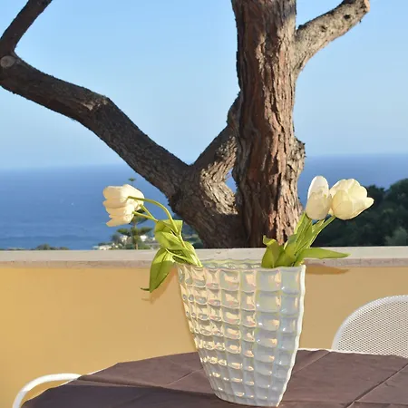 Polito Hotel 2*
