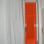 Polito